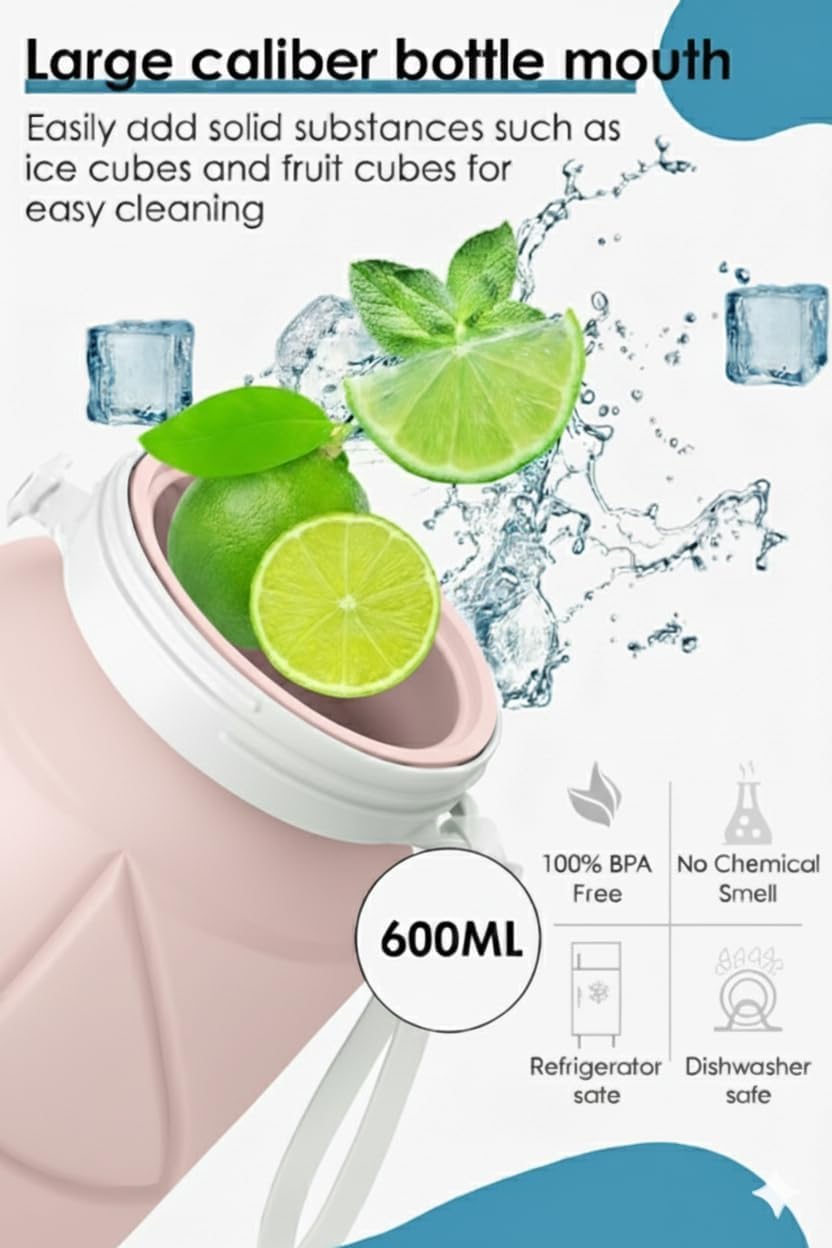 OLESBUR Carpediem Collapsible Silicone Water Bottle Foldable Leak Proof Travel Water Bottle Portable Reusable Bottle for Gym Hiking Camping (PINK)
