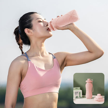 OLESBUR Carpediem Collapsible Silicone Water Bottle Foldable Leak Proof Travel Water Bottle Portable Reusable Bottle for Gym Hiking Camping (PINK)